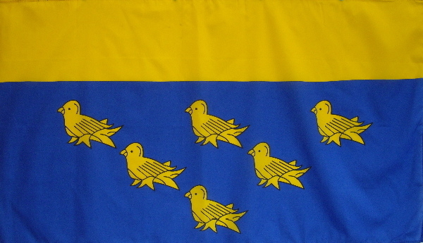 Flag of West Sussex | Budget Price | flags4sale.com